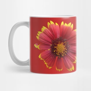 Gaillardia Flower Mug